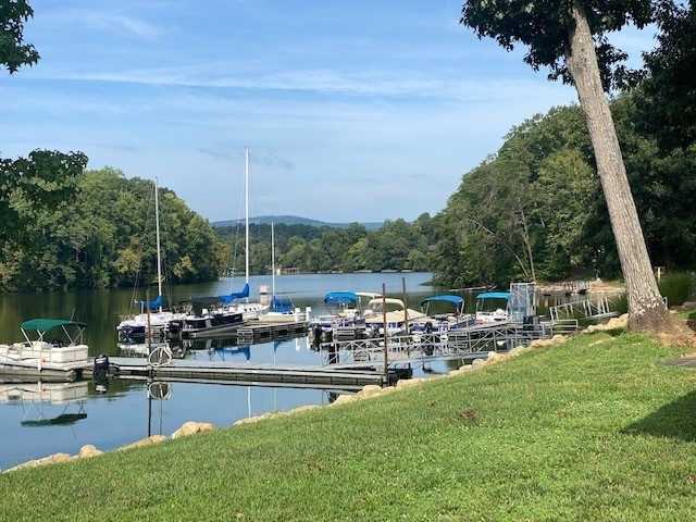 Blue Water RV Resort & Marina