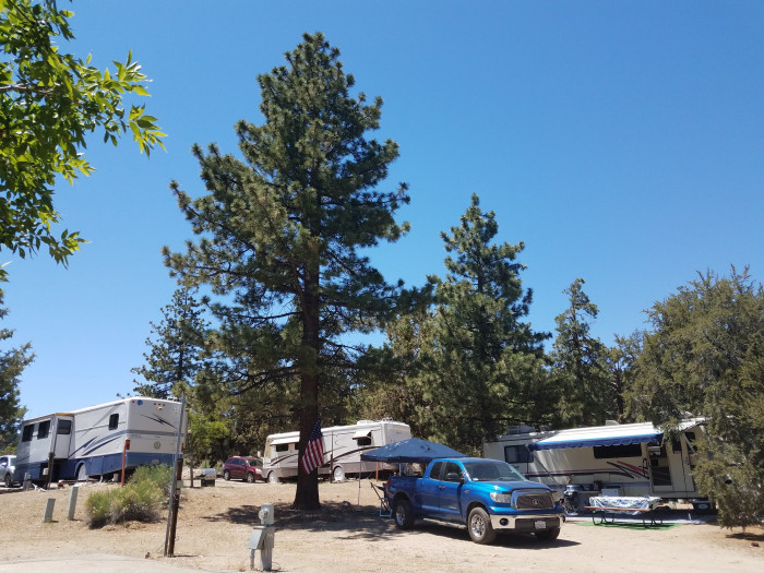 Pine Tree RV Park