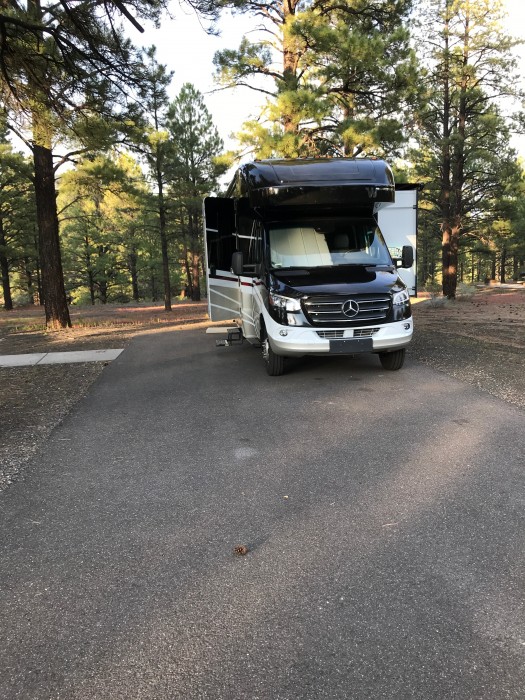 Bonito Campground, Coconino National Forest
