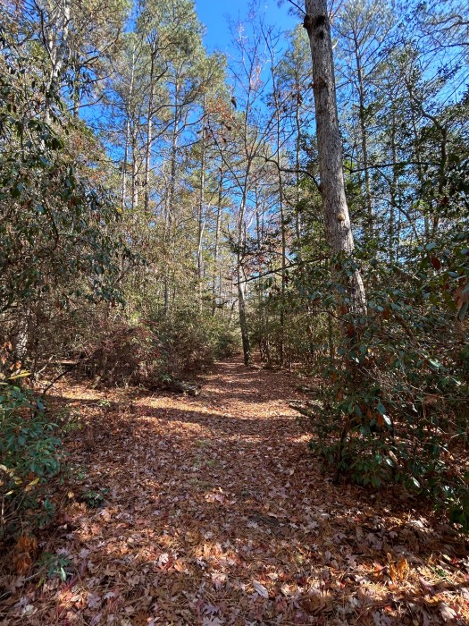 Pocomoke River State Park, Milburn Landing
