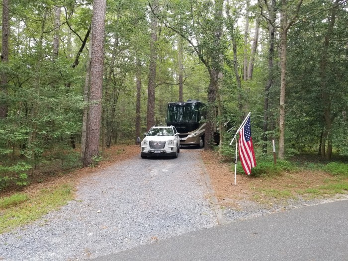 Pocomoke River State Park