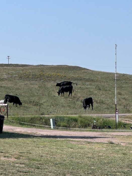 Pony Express RV Park
