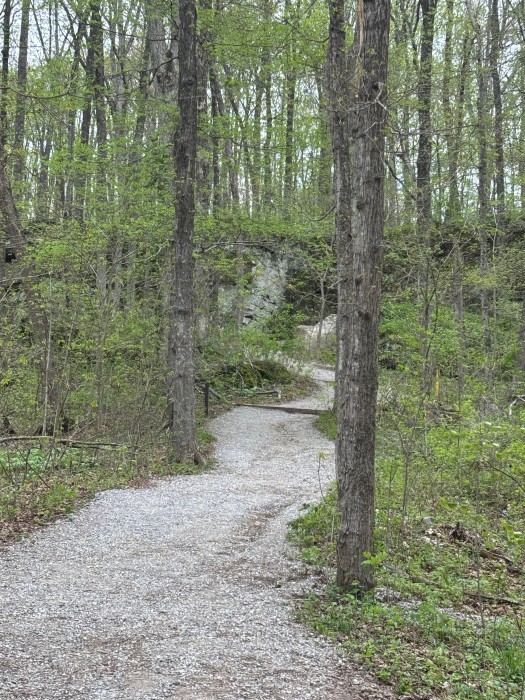 Oak Point Campground, Lake Glendale Recreation Area, Shawnee Natl. For