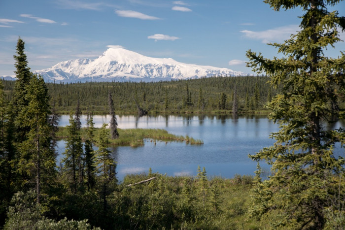 Red Eagle Lodge and Campground