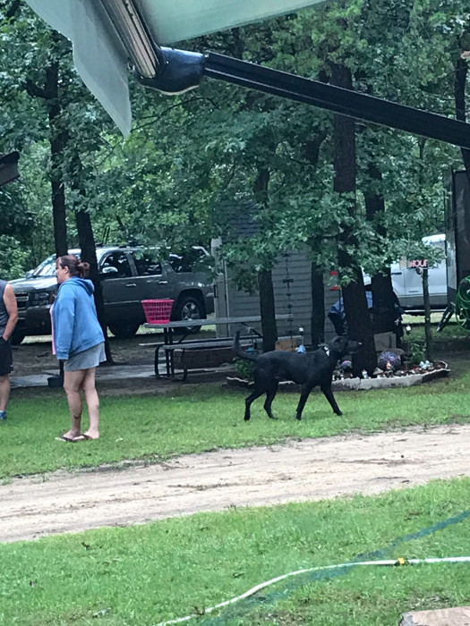 Fireside Campground