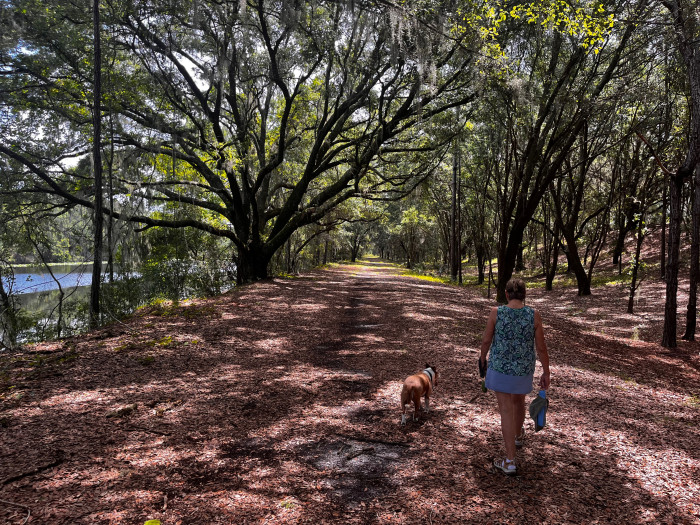 Rodman Campground