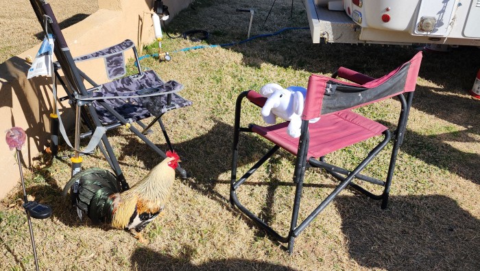 Rolle’s Lynda Vista RV Park