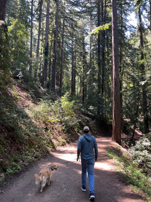 Sanborn County Park