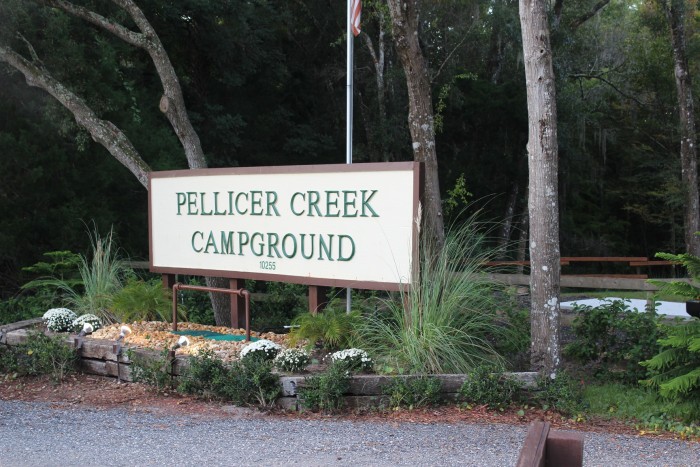 Pellicer Creek Campground