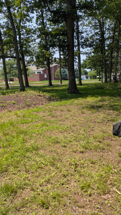 Oak Grove Park
