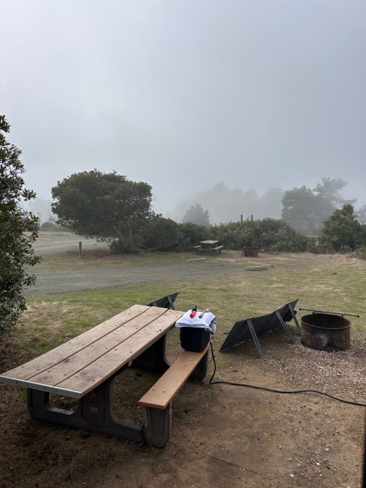 Hearst San Simeon State Park,  Washburn Campground