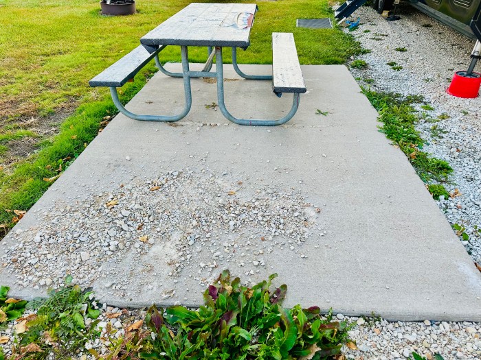 Colona’s Scott Family Park