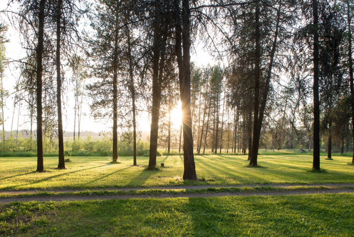 Pines RV Park