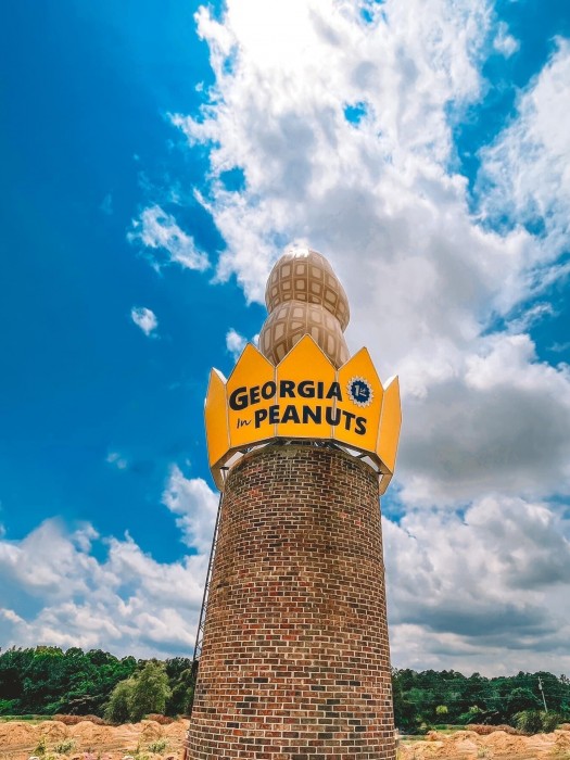 Georgia Peanut RV Park