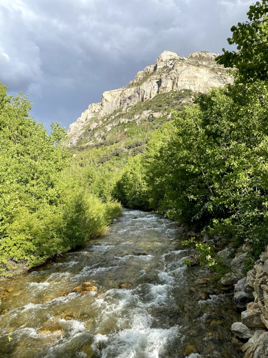 Thomas Canyon Campground