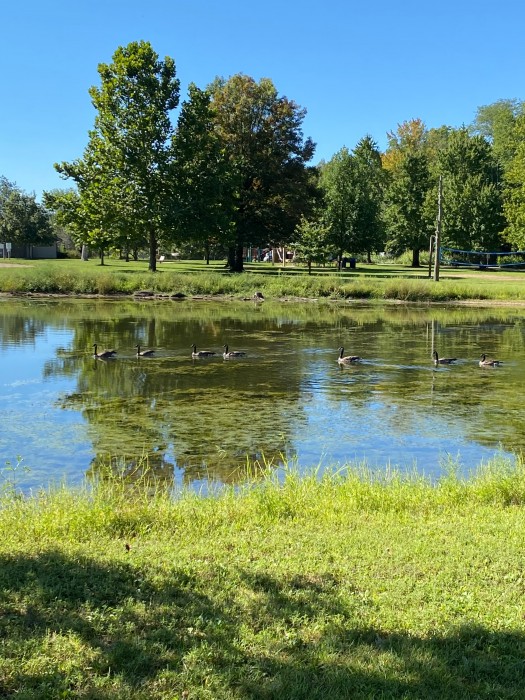 Middle Fork Forest Preserve, Harry L Swartz Campground