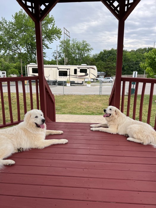 Pine Grove Village MH & RV Park