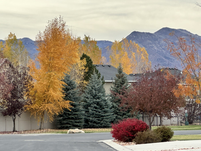 Mountain Valley RV Resort