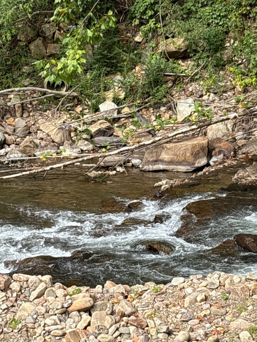 Laurel Creek RV Park