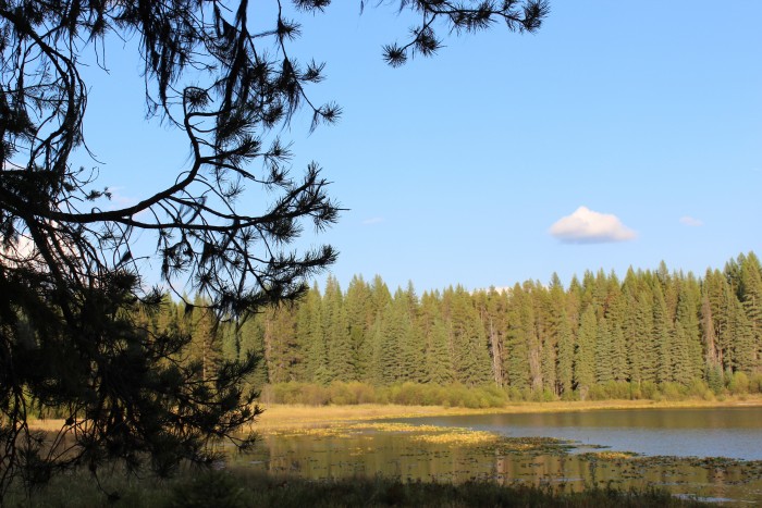 Leo Lake Campground