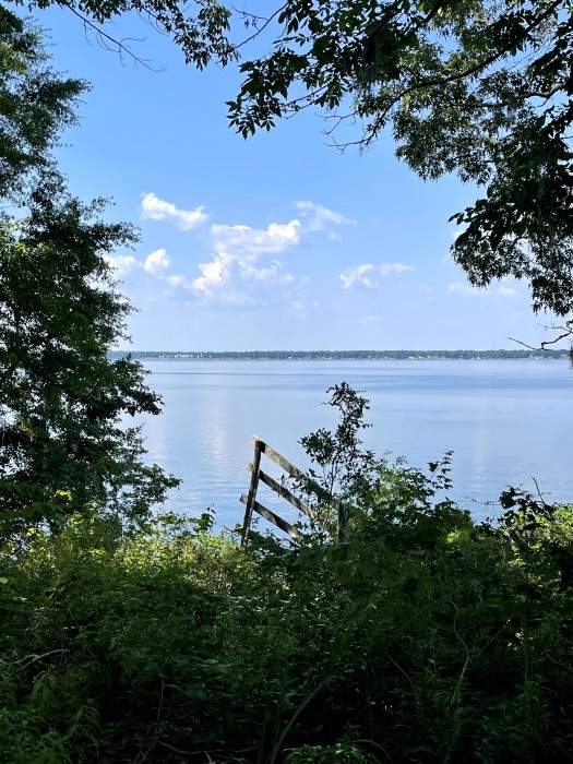 Lake Marion Resort and Marina