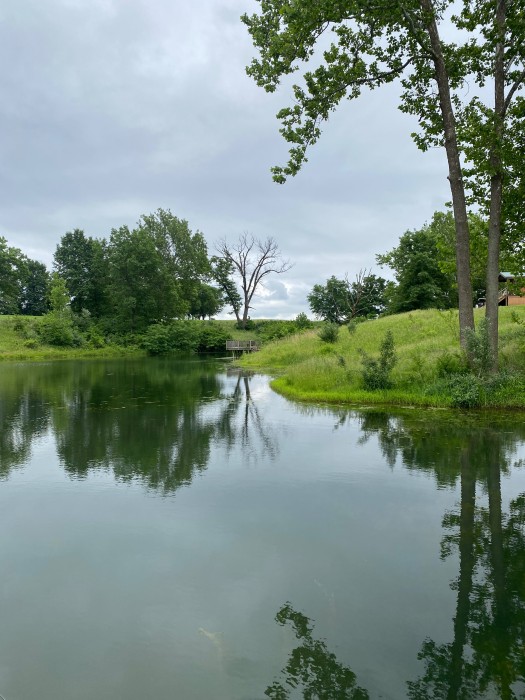 Buena Vista Farms campground
