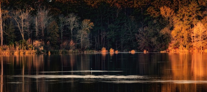 Percy Quin State Park