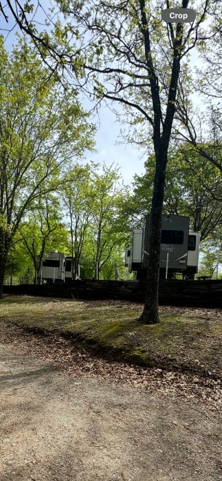 Branson Treehouse Adventures