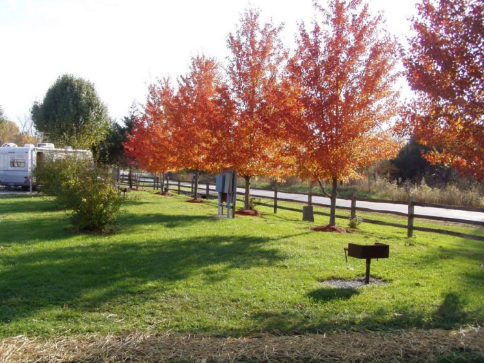 Cottonwoods RV Park