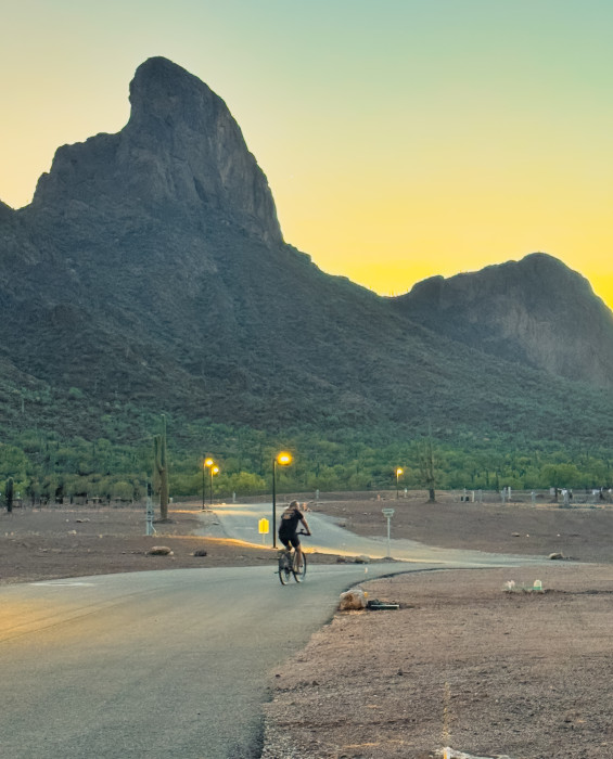 Picacho Peak RV Resort
