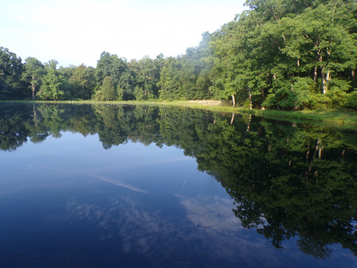 Camp Taylor Campground