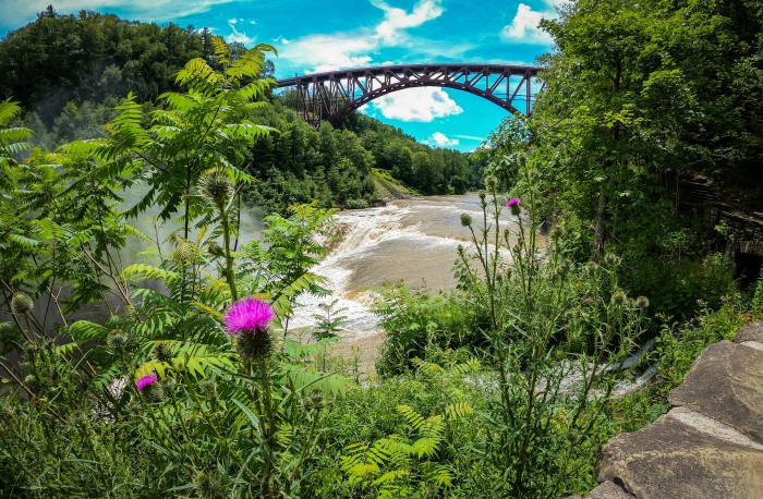 Letchworth State Park