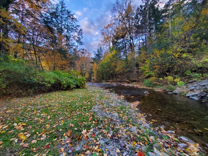 Russell Brook Campsites
