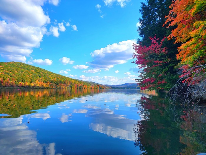 Allegany State Park – Red House Area