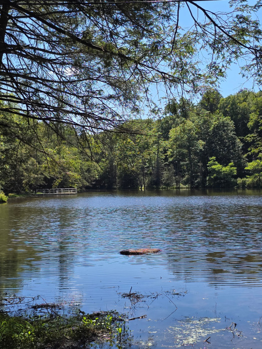 Lakeside Campground