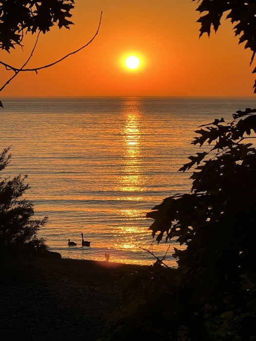 Four Mile Creek State Park