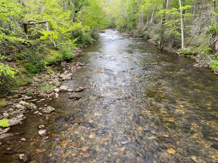 Davidson River Campground