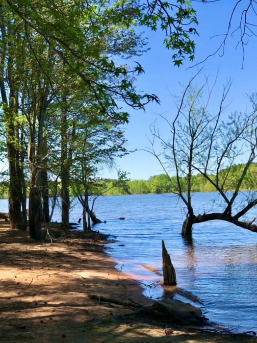 Rolling View Campground – Falls Lake SRA