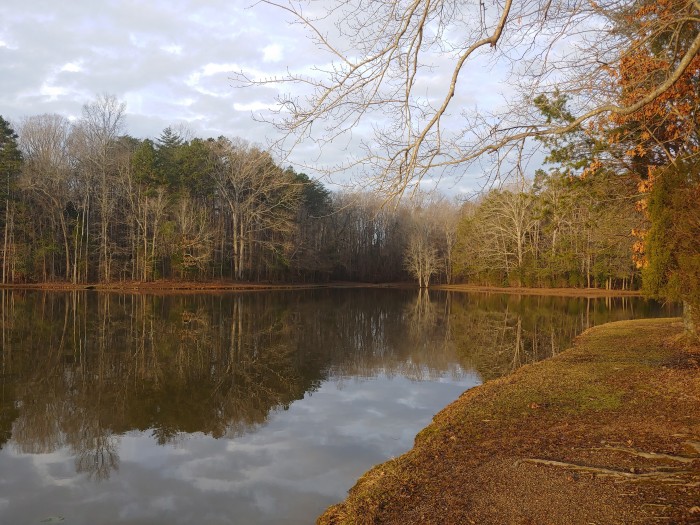 Dan Nicholas Park