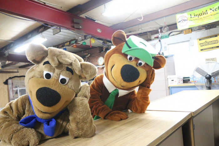 Yogi Bear’s Jellystone Park at Kozy Rest