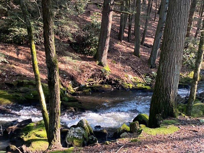 Jim Thorpe Camping Resort