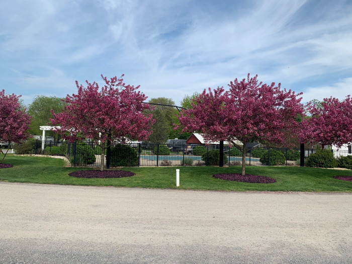 Buttonwood Campground
