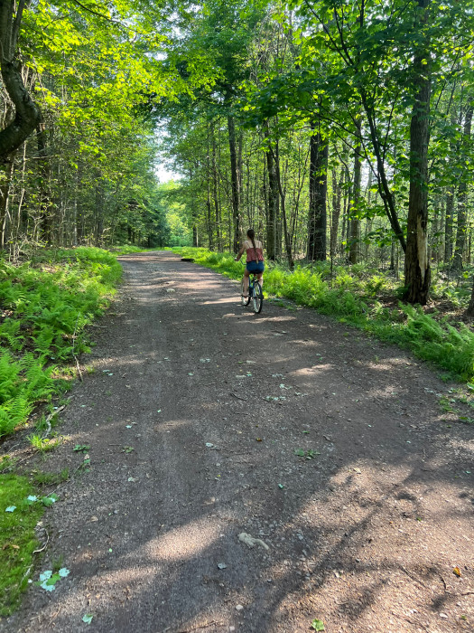 Ricketts Glen State Park