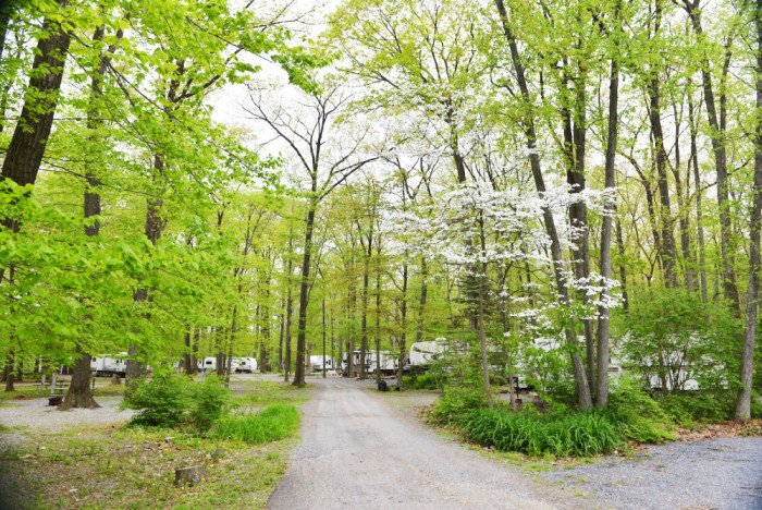 Appalachian Campground