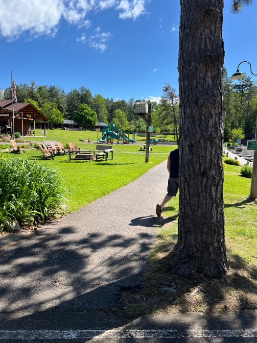 Treeland Farm RV Park
