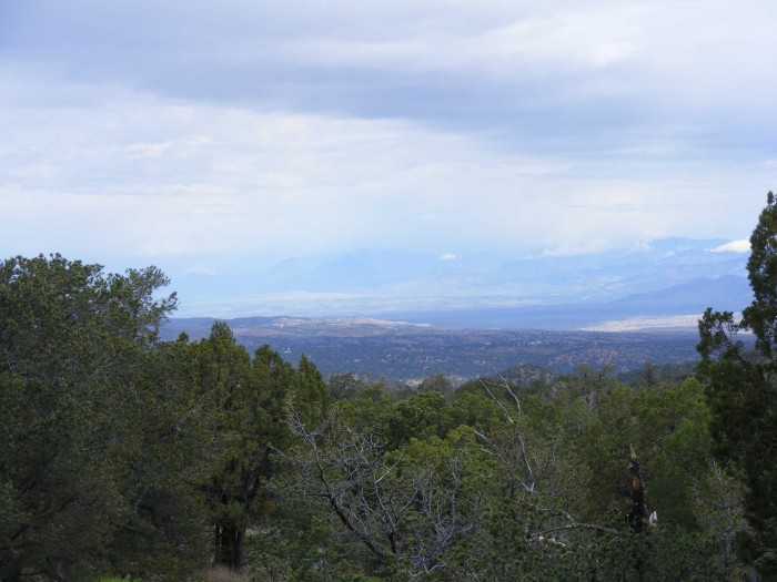 Burro Mountain Homestead