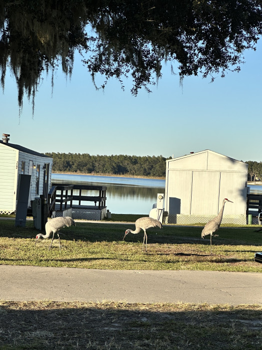 Mill Dam Lake RV Park