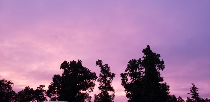 Linden City Park