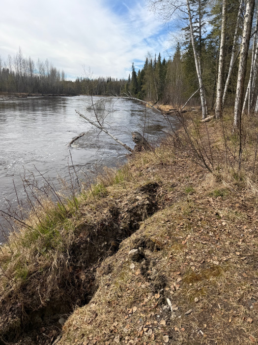 Rosehip Campground – Chena River State Recreation Area