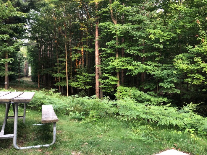 Meinert County Park, Pines Campground
